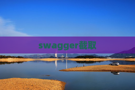 swagger截取